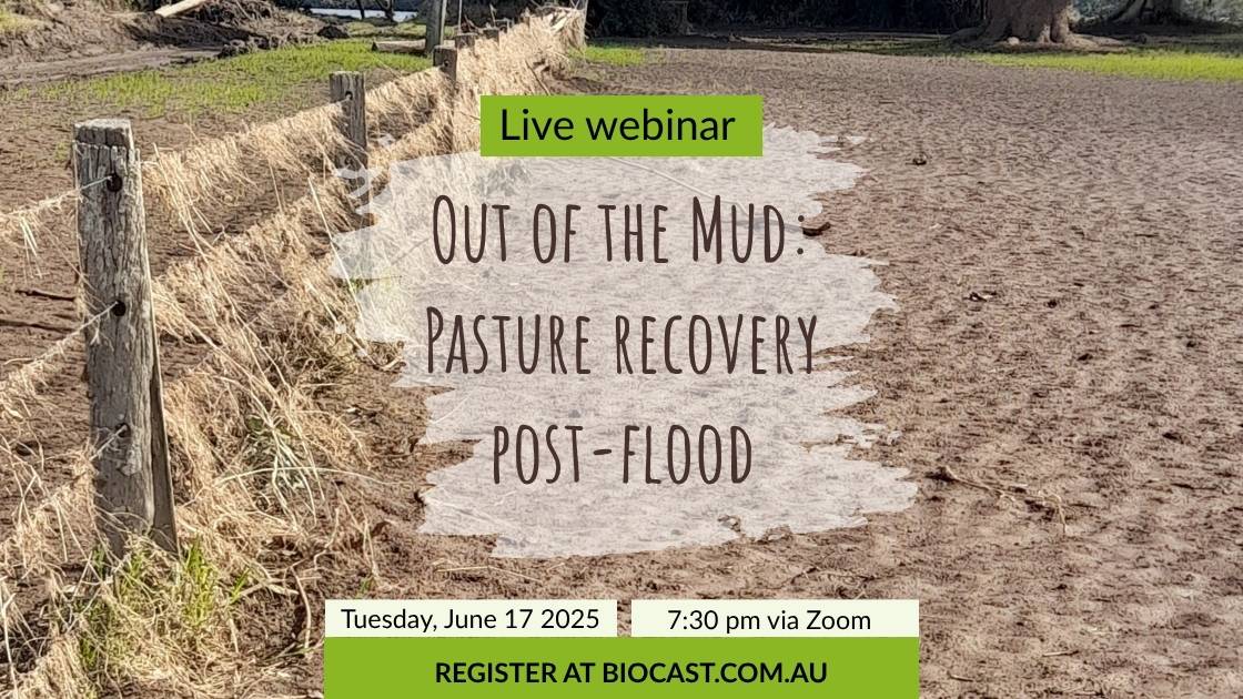 Flood Recovery Webinar (1120 x 630 px) Out of the Mud: Pasture recovery post-flood webinar