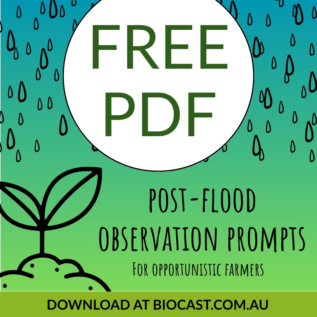 Free pdf observation prompts (1) Free pdf post-flood observation prompts