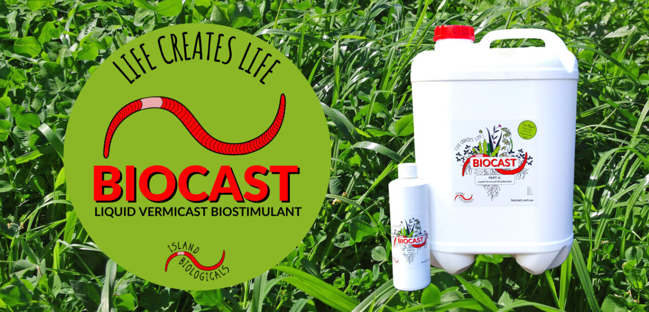 Biocast liquid vermicast biostimulant by Island Biologicals