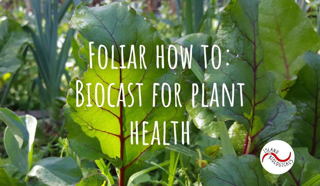 Foliar Biocast for plant health