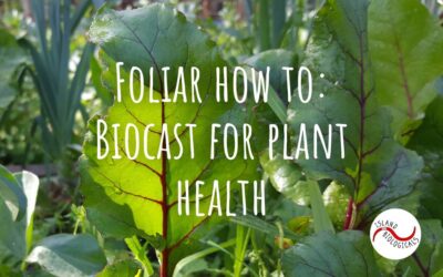 Foliar Biocast for plant health