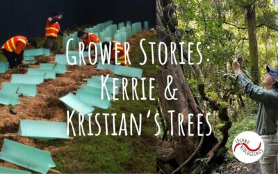 Grower Stories: Kerrie and Kristian’s Trees