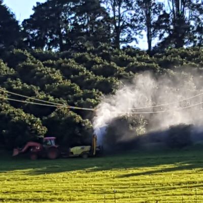 Biocast foliar spray on avocado orchard