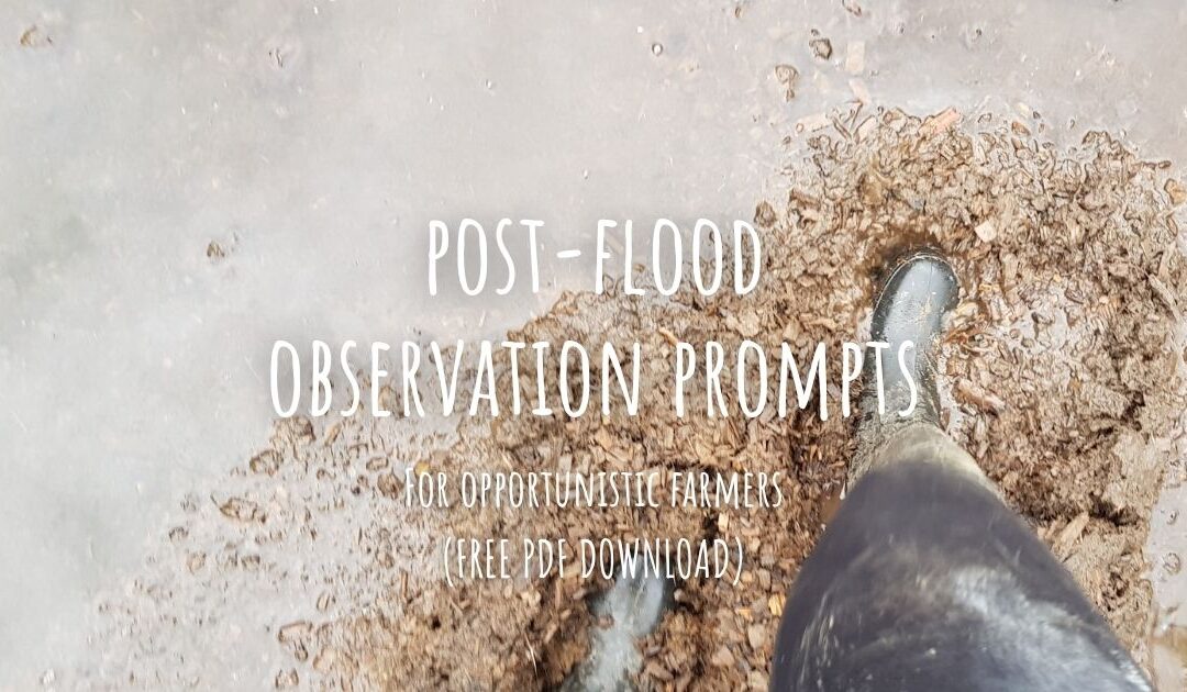 Post-flood observation prompts