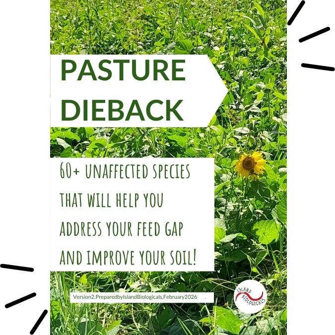 Cover of pasture dieback alternative species guide