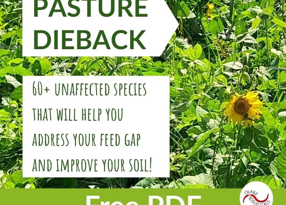 Updated Pasture Dieback handout released