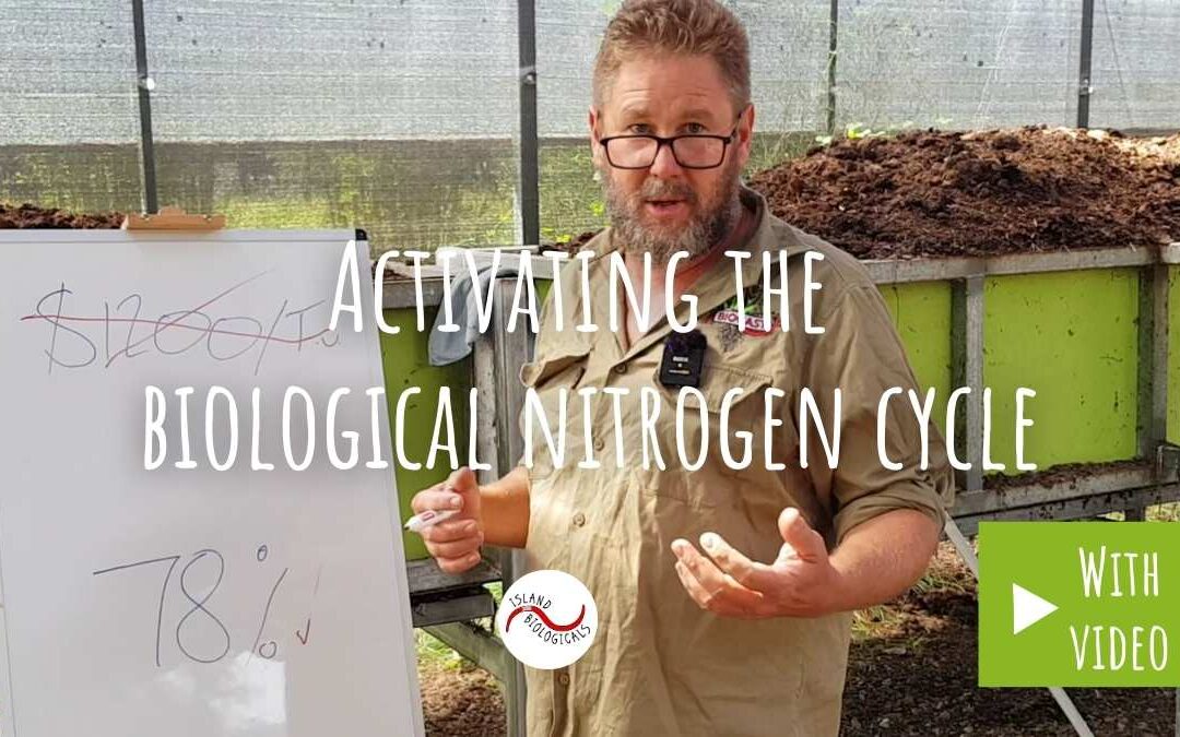 Activating the biological nitrogen cycle