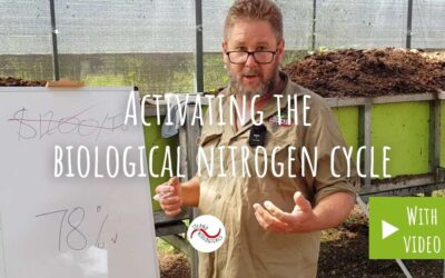 Activating the biological nitrogen cycle
