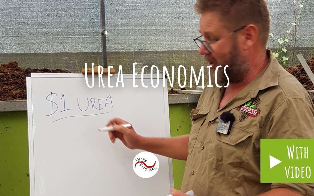 Urea economics