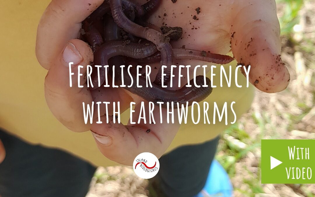 Fertiliser efficiency with earthworms