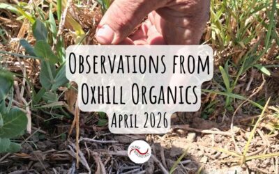 Observations from Oxhill Organics April 26
