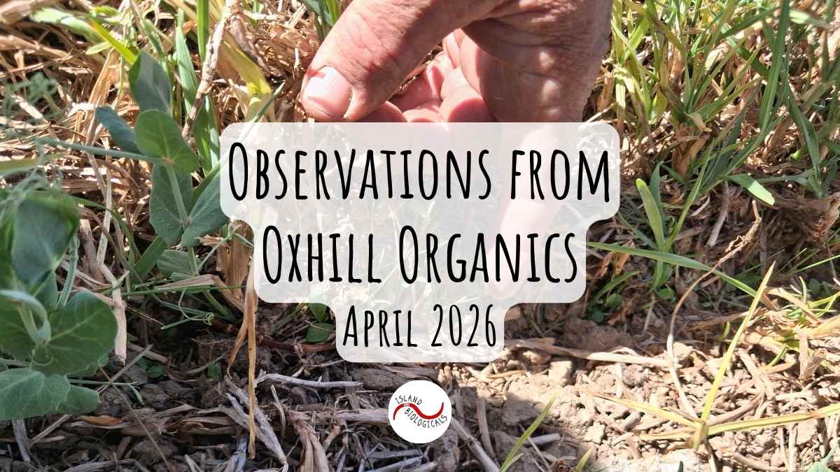 Observations from Ochill Organics April 2026