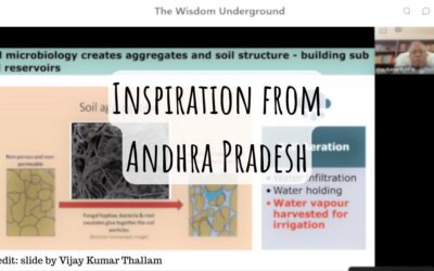 Inspiration from Andhra Pradesh