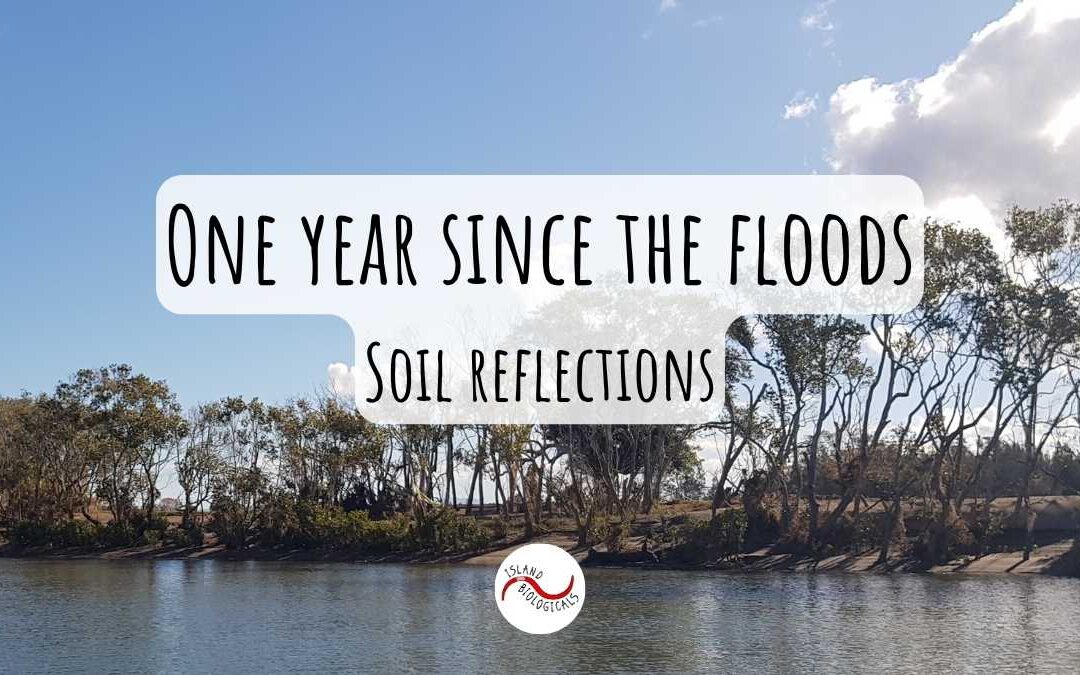 One year since the floods