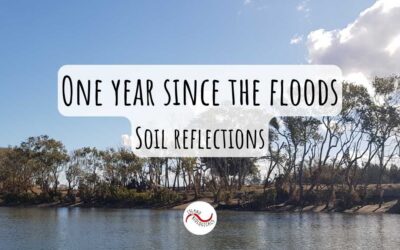 One year since the floods