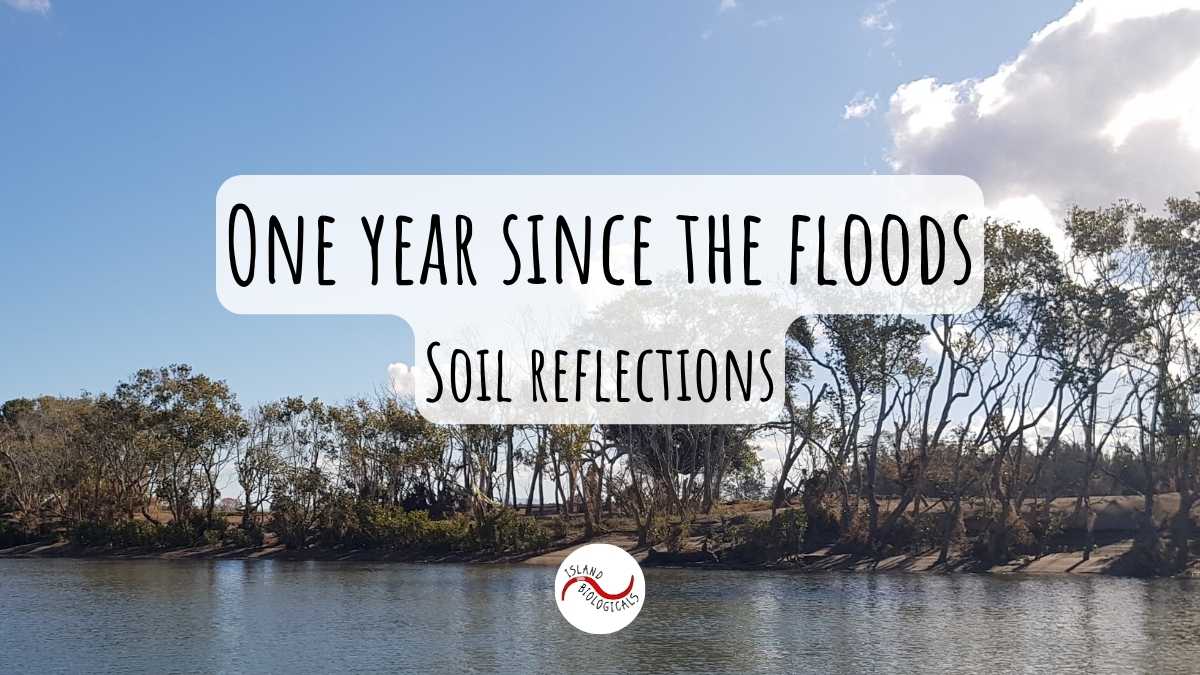 One year since the flood