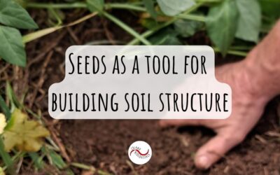 Seeds as a tool for building soil structure