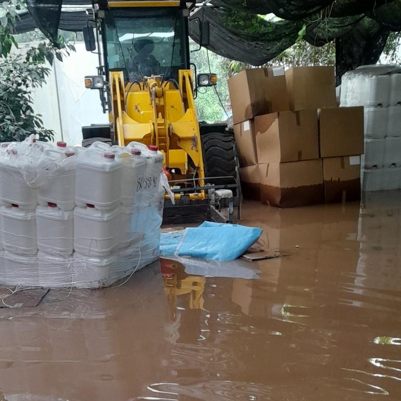 flood in the greenhouse