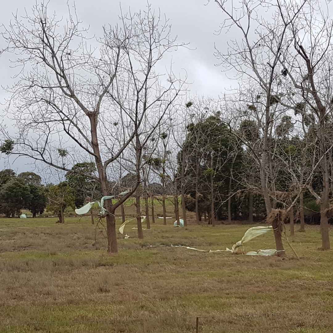 Silage wrap plastic everywhere