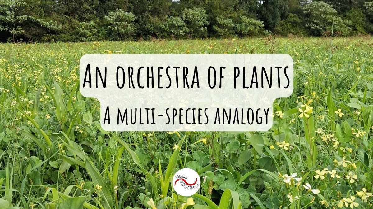 An orchestra of plants: a multi-species analogy