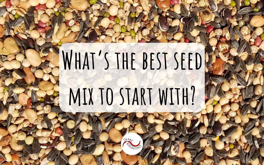 What’s the best seed mix to start with?