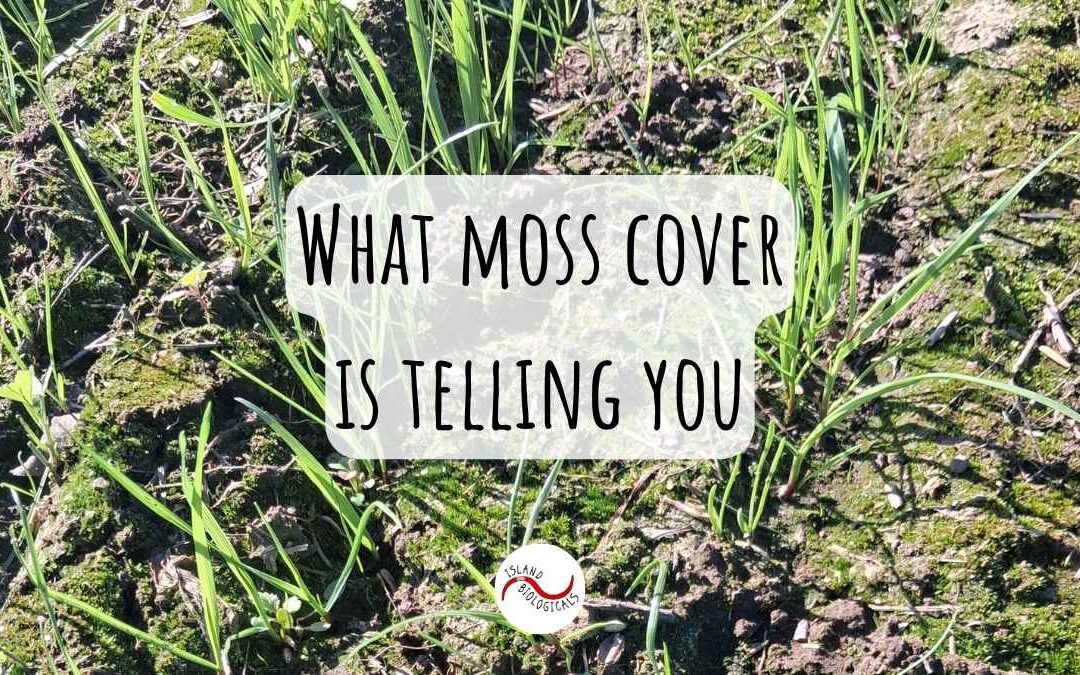 What moss cover is telling you