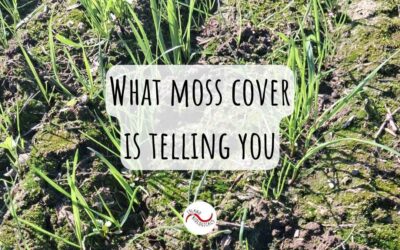 What moss cover is telling you